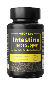MisoriLife - 腸道養護 草本素食片 60片